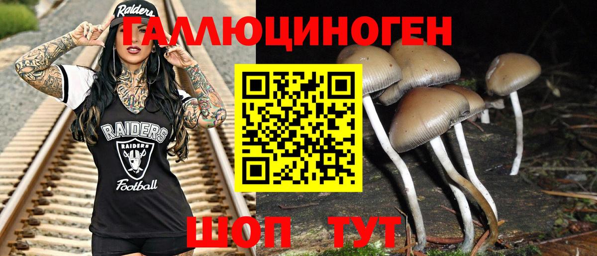 Псилоцибиновые грибы мицелий Анапа