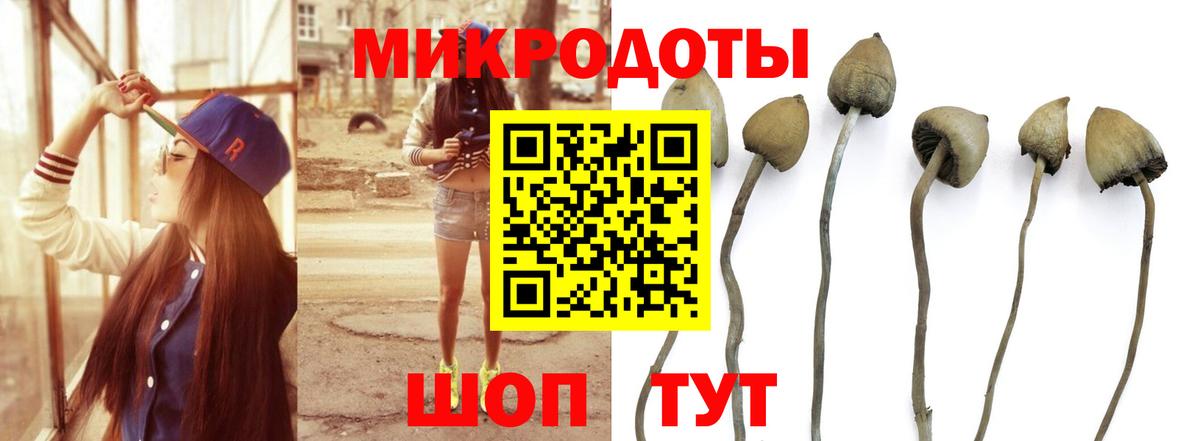Анапа  Псилоцибиновые грибы Psilocybe  Галлюциногенные грибы Cubensis  закладка  Вход с VPN 